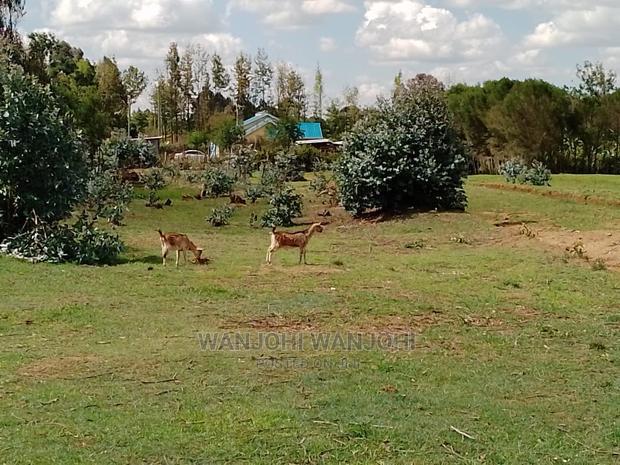 Very Prime Plots in Kasuku