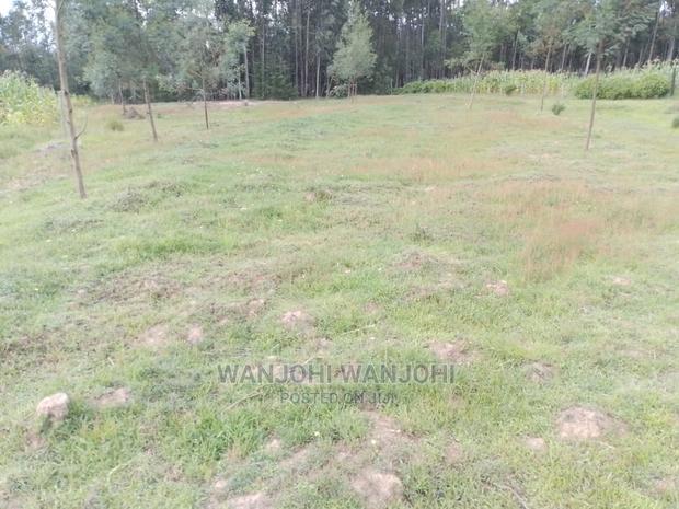 Prime Plots in Oljoro-Orok