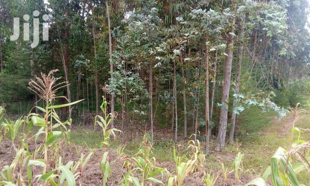 Oljoroorok Plots for Sale