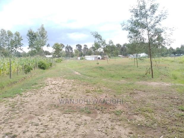 Prime Plots in Oljoro-Orok