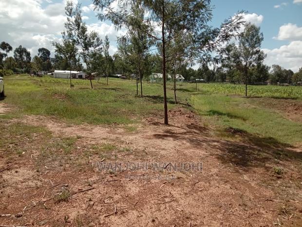 Prime 50x100 Plot