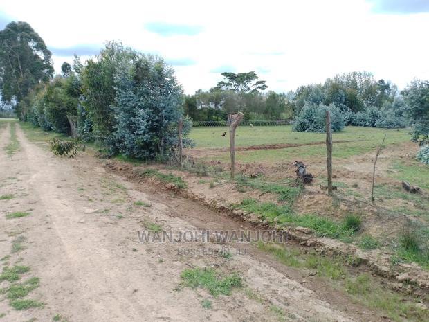 Very Prime Plots in Kasuku Town