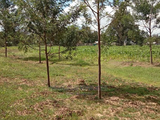 50x100 Plots Near Tarmac in Nyandarua County