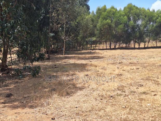 High-Grade Eighth Acre Plots at Kasuku