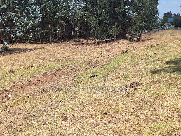 Hottest Plots in Nyandarua Currently