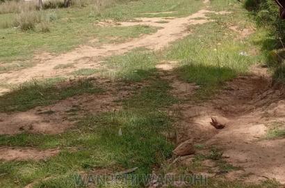 Affordable Plots in Nyahururu, Oljoroorok