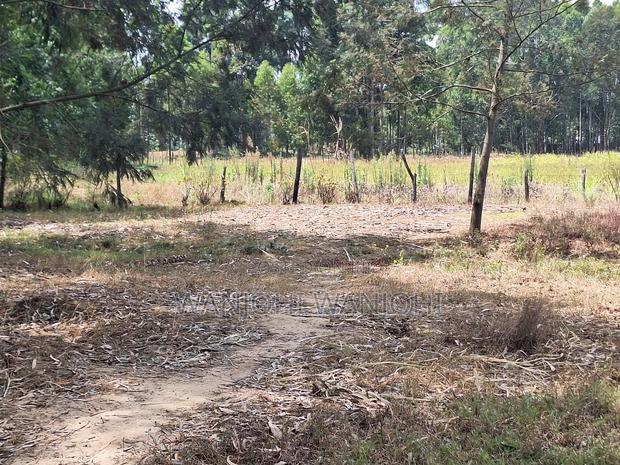 Secure Top Tier Oljoroork Plots