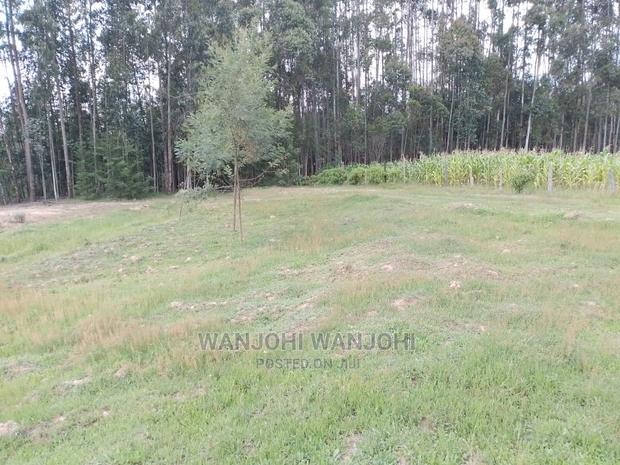 Prime Plots in Oljoro-Orok