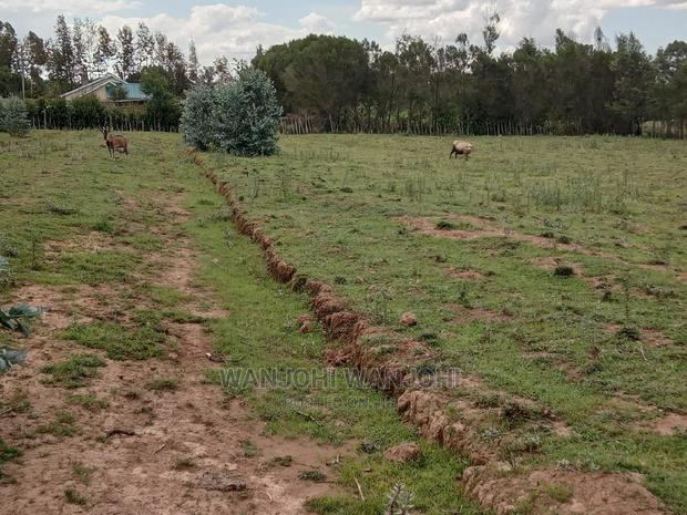 Own a Piece of Nyandarua