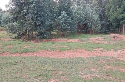 A Breath of Fresh Air in Nyandarua