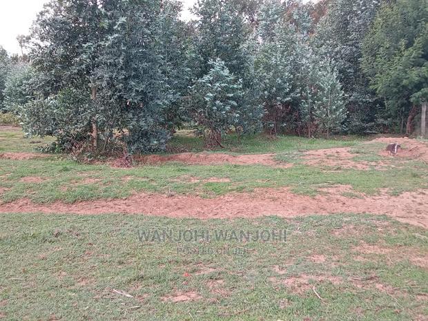 A Breath of Fresh Air in Nyandarua