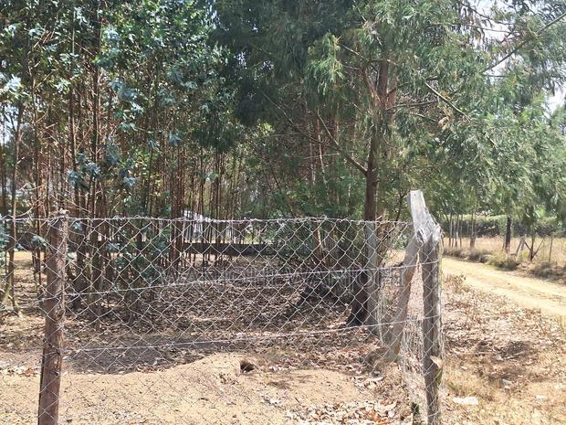 Hottest Plots in Nyandarua Currently
