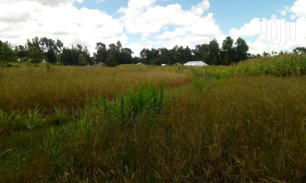 Oljoroorok Plots for Sale