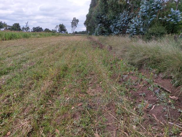 Prime 50/100 Plots in Olkalou