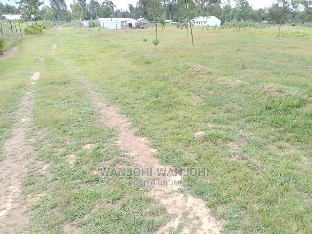 Very Prime Plots in Oljoroorok