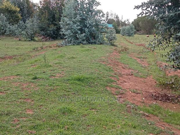 Exquisite Prime 50*100 Plots