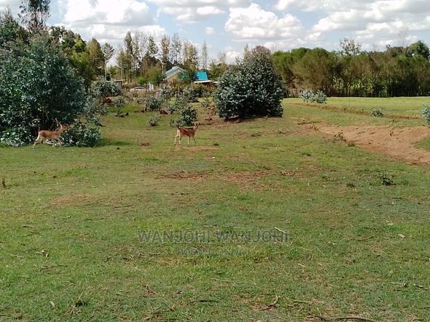 Very Prime Plots in Kasuku