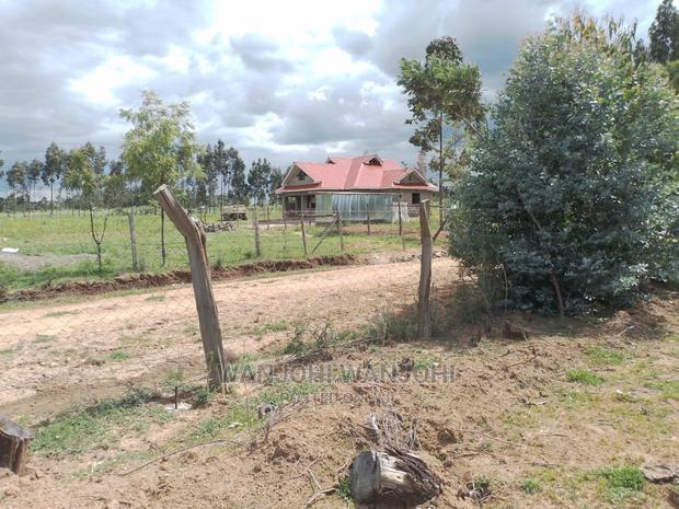 Very Prime Plots in Kasuku