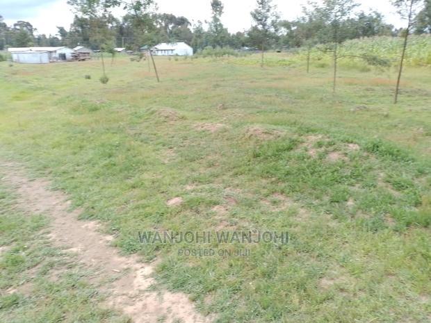 Very Prime Plots in Oljoroorok