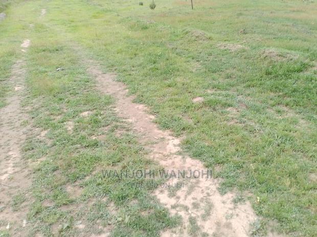 Very Prime Plots in Oljoroorok