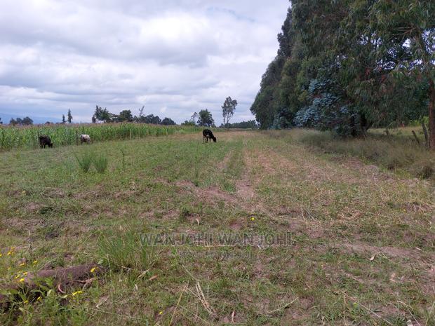 Affordable Prime 50x100 Plots