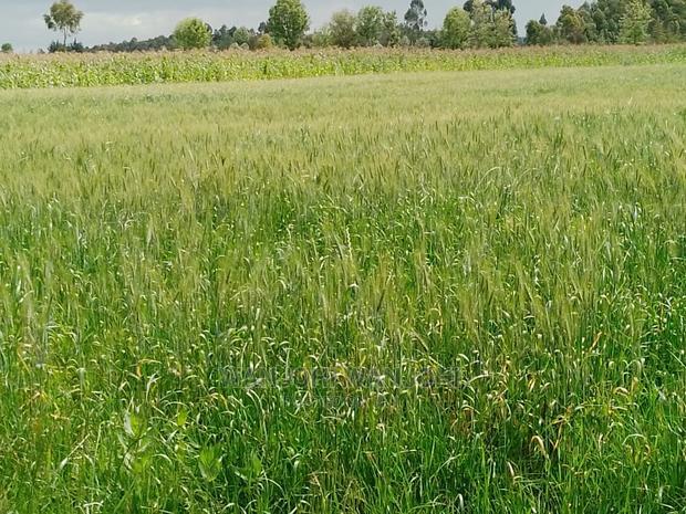 Prime Plots at the Heart of Nyandarua County