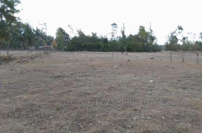 Prime Plots in Nyahururu Oljoroorok