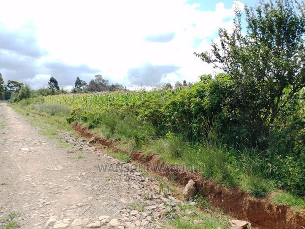 Very Prime Plots in Kasuku Town
