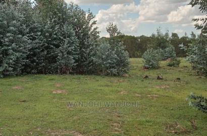 Very Prime Plots in Kasuku, Nyandarua