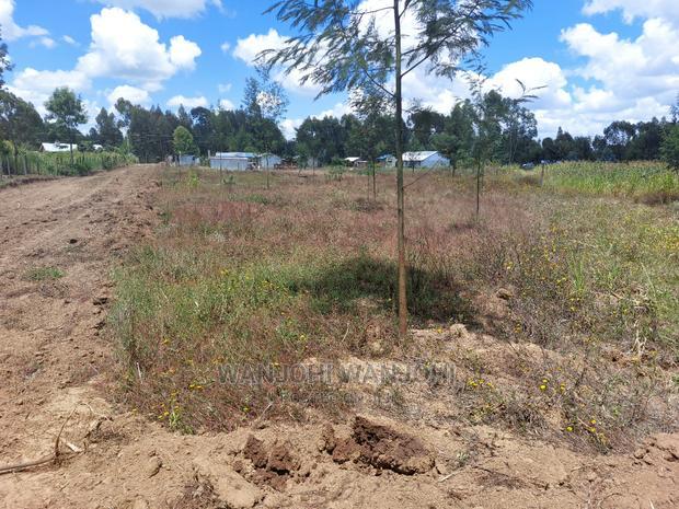 Prime Plots 150 Meters From Highway
