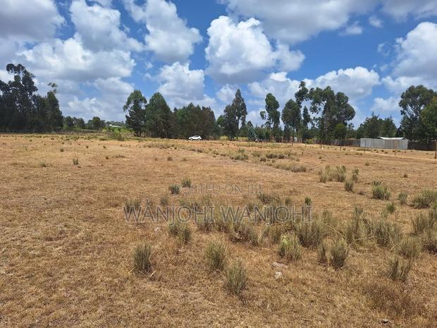 Very Prime Plots in Leshau Nyandarua County
