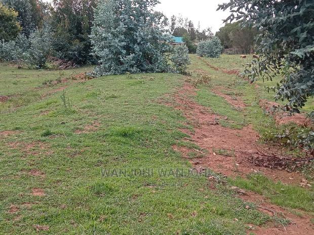 Jewel Plots in Nyandarua County