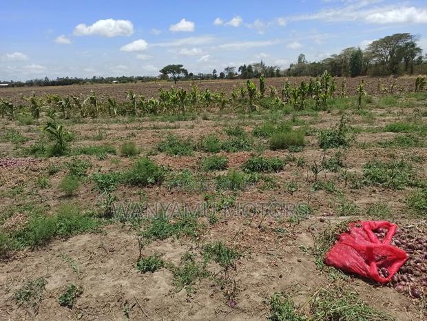 Plot 4 Acres for Sale