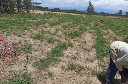 Plot 4 Acres for Sale
