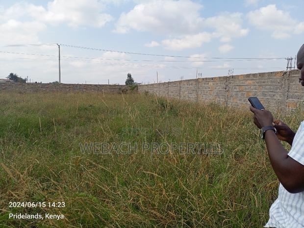 Prime 1/4 Plot With Perimeter Wall Katani Shangilia