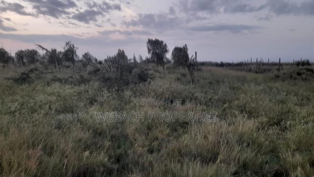 Prime 1/4 Plot Katani Along Katani Hospital Road