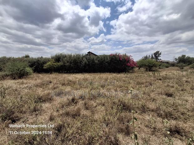 Prime 1/4 Plot for Sale Sabaki