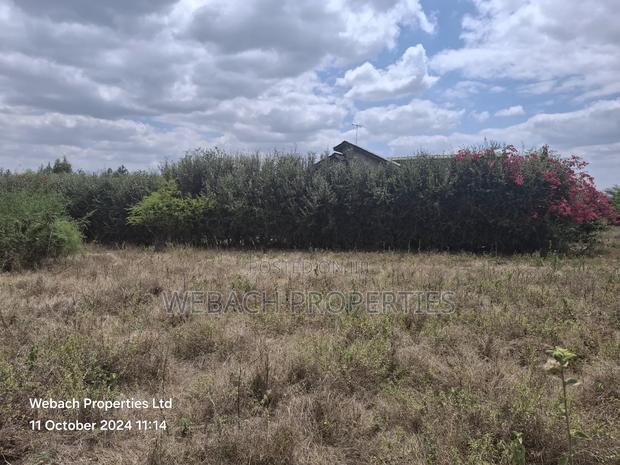 Prime 1/4 Plot for Sale Sabaki