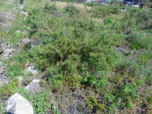 Prime 100*100 Plot for Sale Syokimau Parliament Road