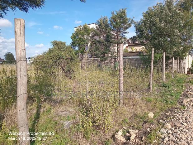 Prime 1/4 Acre Parliament Road