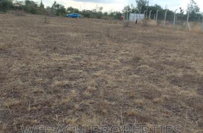 Prime 1/4 Plot (100*100) FOR SALE Katani,Mother Theresa