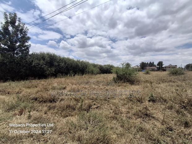 Prime 1/4 Plot for Sale Sabaki