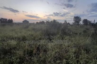 Prime 1/4 Plot Katani Along Katani Hospital Road