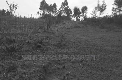 Land on Sale at Turasha Ririshua Kinangop