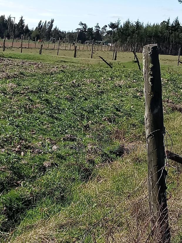 5 Acre on Sale at Kinangop Eginear