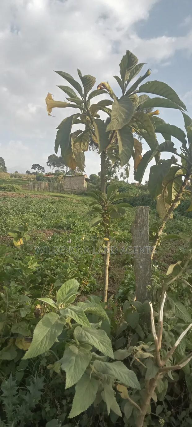 Land on Sale at Flyover Kinangop