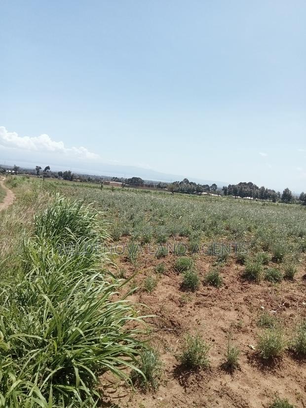 5 Acres on Sale at Kiabogo Longonot Naivasha