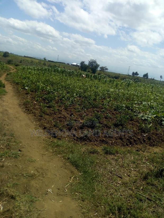 1 Acre on Sale at Kiambogo Longonot Naivasha