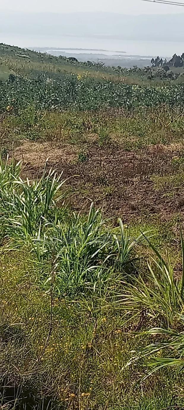 Land on Sale at Kinungi Naivasha