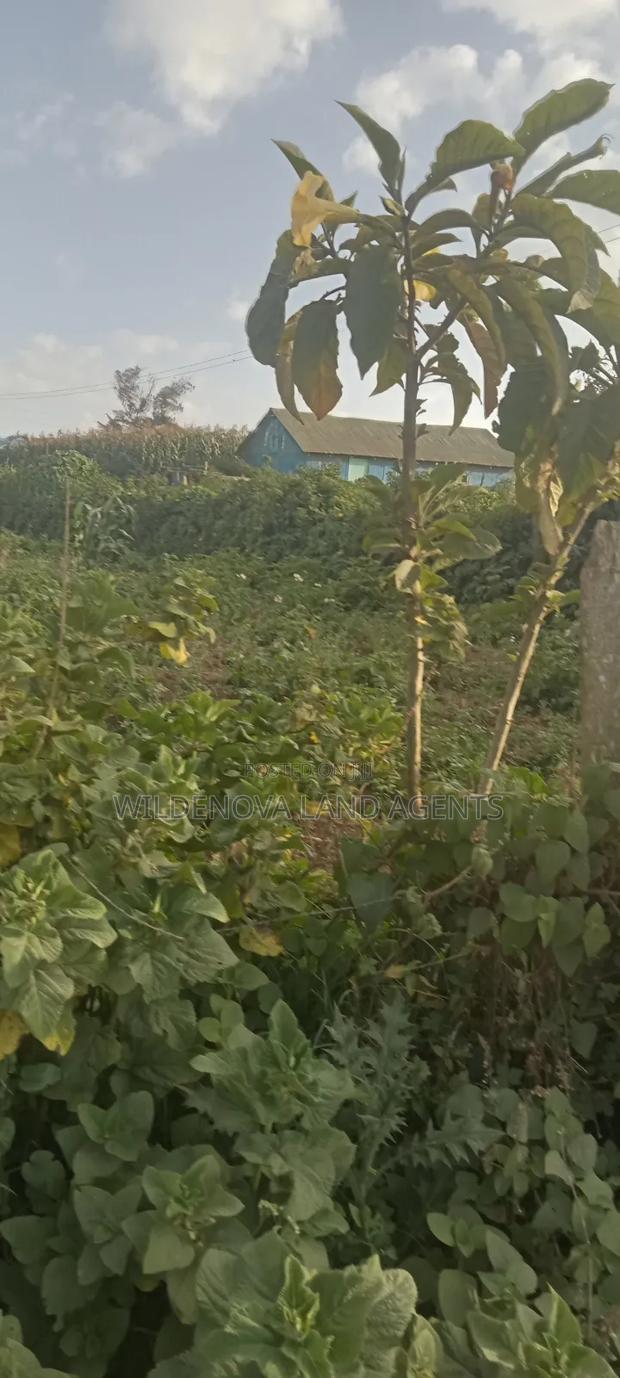 Land on Sale at Flyover Kinangop